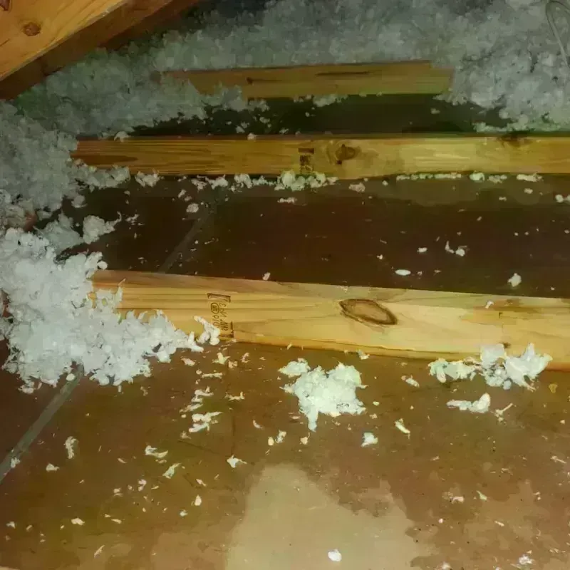 Attic Water Damage in Central City, AZ