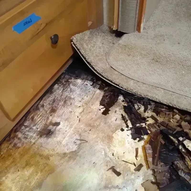 Wood Floor Water Damage in Central City, AZ